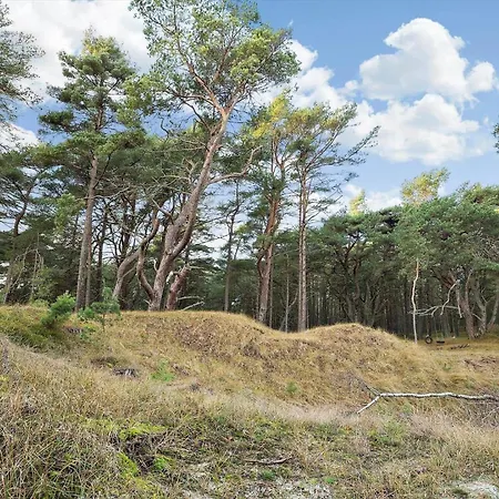 2727-nexo-i-klitterne-1 * Neksø